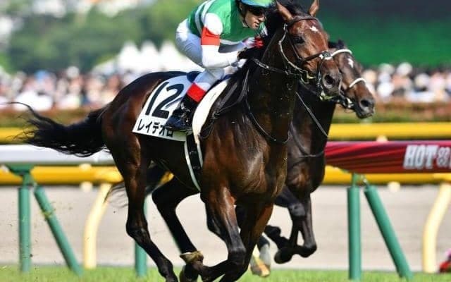 きょうレイデオロ10歳の誕生日 頭に入れたい種牡馬としての特徴的なデータとは