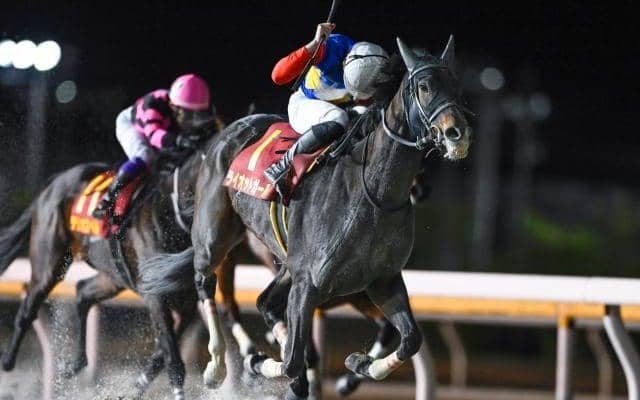 【船橋・クイーン賞枠順】連覇を狙うライオットガールは8枠9番