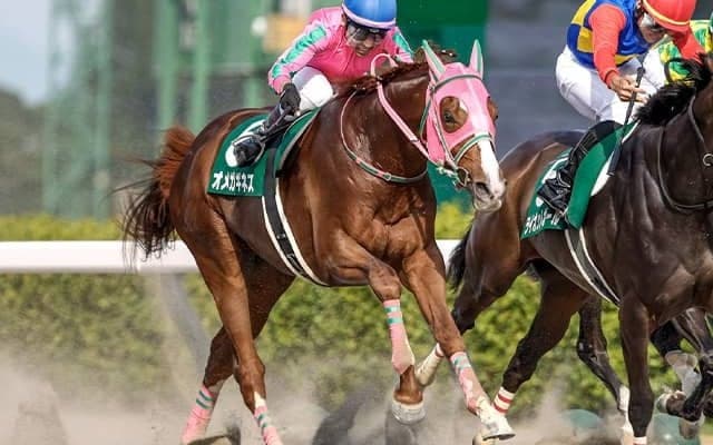 【フェブラリーS出走馬決定順】オメガギネスなど11頭が除外見込み フルゲート16頭に27頭登録