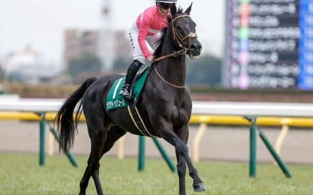 ネオユニヴァース産駒7年ぶりの芝重賞勝ち 血統に込められたパワーが開花