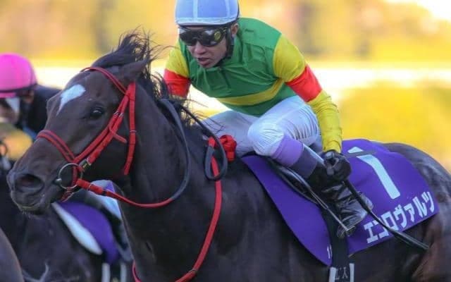 武豊騎手が15年ぶりの共同通信杯V狙う 朝日杯FS2着馬とタッグで参戦