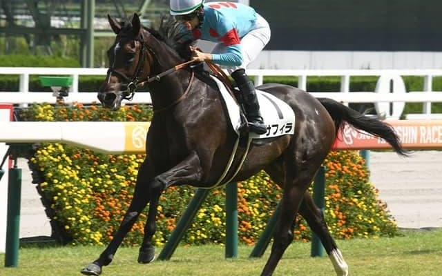 【クイーンC想定騎手】サフィラは松山弘平騎手、クイーンズウォークは川田将雅騎手