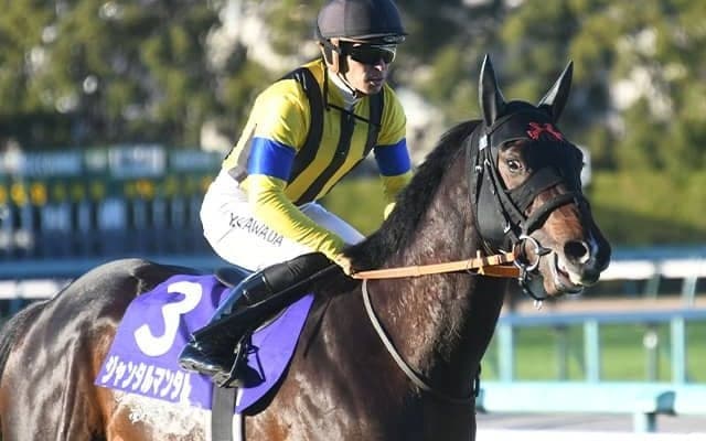 【共同通信杯想定騎手】ジャンタルマンタルは川田将雅騎手、エコロヴァルツは武豊騎手