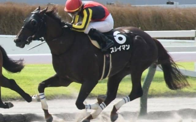 ローカル競馬場限定の“ダート1700m” 特殊な条件でこそ買いたいオススメ血統は？
