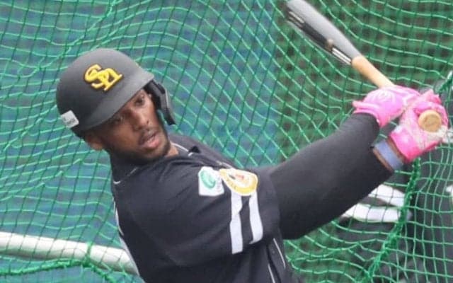 混戦必至のパ・リーグ本塁打王争いの行方　山川でもポランコでもない注目の「右のホームランバッター」とは