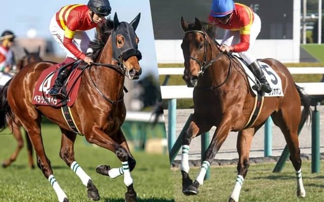 史上初の同一馬主＆調教師による同日重賞Vなるか “ベラジオ”2騎が京都記念・共同通信杯で偉業に挑戦