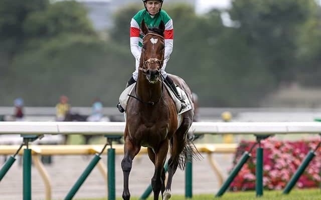 なぜ共同通信杯からクラシック勝ち馬が続出する？ 近10年で皐月賞馬3頭＆ダービー馬3頭