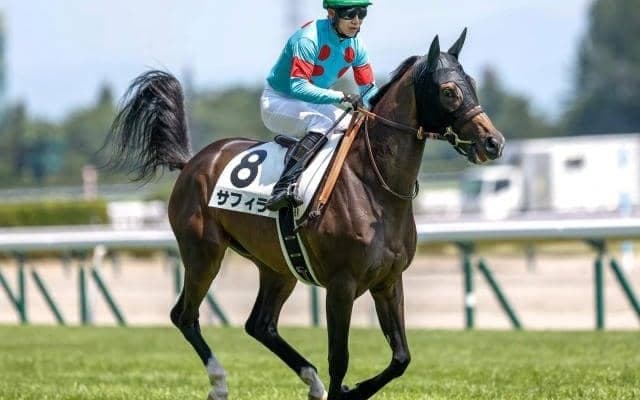 【クイーンC予想オッズ】サフィラが予想1番人気