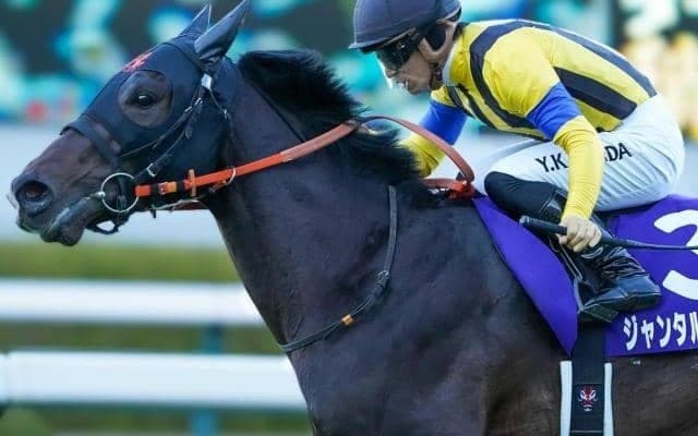 勝利すればナリタブライアン以来30年ぶりの記録 2歳マイル王者が共同通信杯で始動