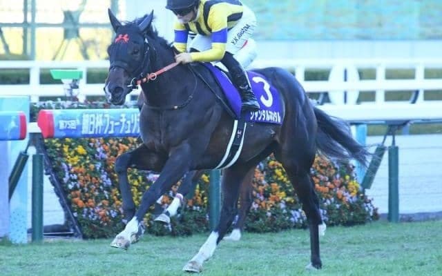 【共同通信杯予想オッズ】ジャンタルマンタルが予想1番人気