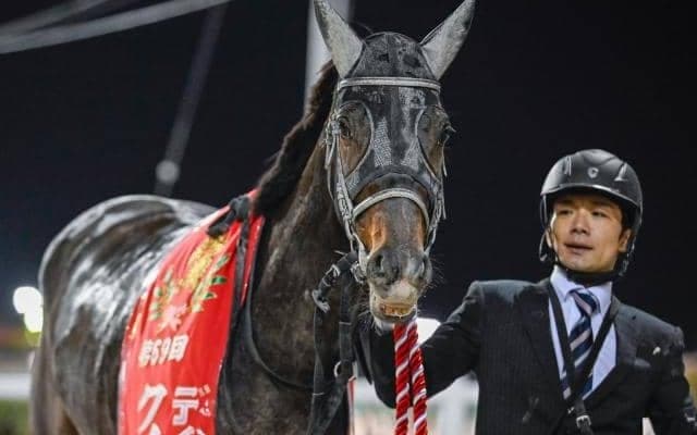 【船橋・クイーン賞注目馬】今年最初の牝馬ダート重賞 “2走連続のクイーン賞制覇”なるか