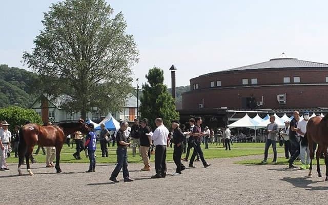 福岡ソフトバンクホークス・柳田悠岐選手の所有馬3頭 全馬の馬名決まる