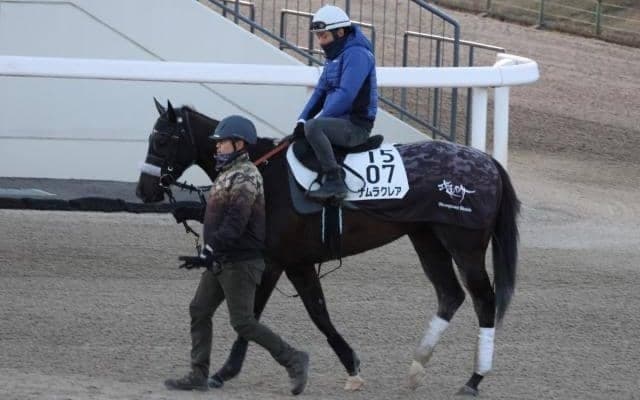 ナムラクレア、京都牝馬S1週前追い切り速報/栗東トレセンニュース