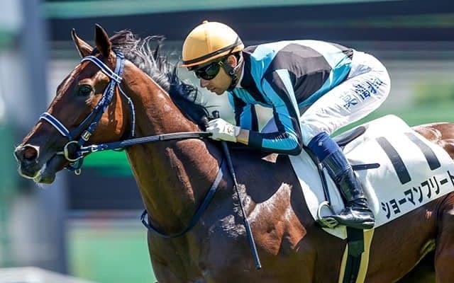 C.ルメール騎手の複勝率63％ 好相性の共同通信杯で連覇狙う