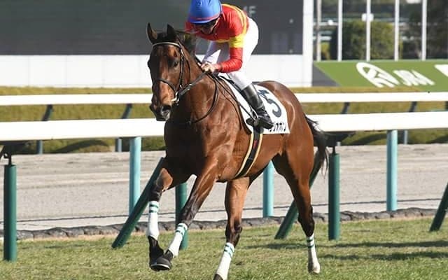 億超えホースが共同通信杯史上3頭目の快挙へ デビュー戦は圧巻3馬身差V
