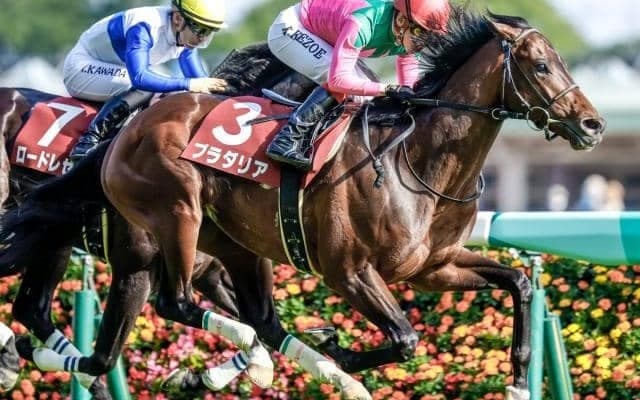 【京都記念予想】AIは実績上位馬を推奨 データ面からも信頼できそうな一頭とは？