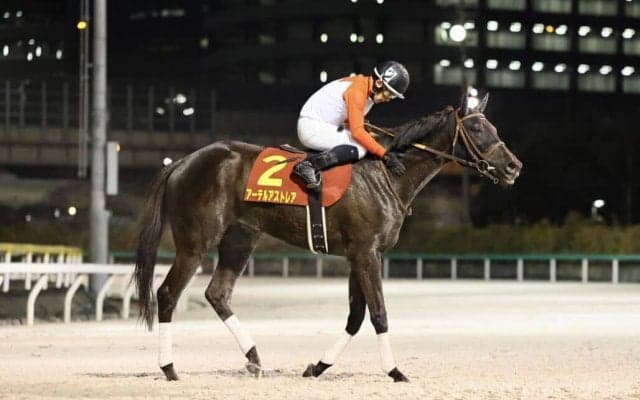 【クイーン賞】橋口師「菱田君で勝てたのも嬉しいです」アーテルアストレアが交流重賞2勝目