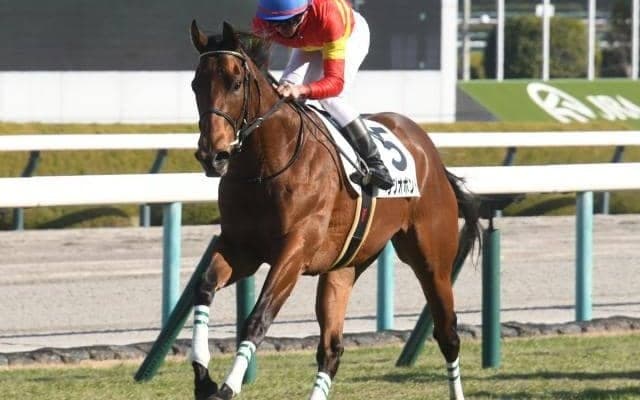 【共同通信杯展望】新馬戦を好内容で勝ったベラジオボンドに期待