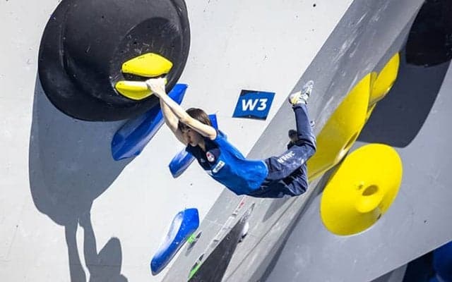 スポーツクライミングの2024年主要大会スケジュール