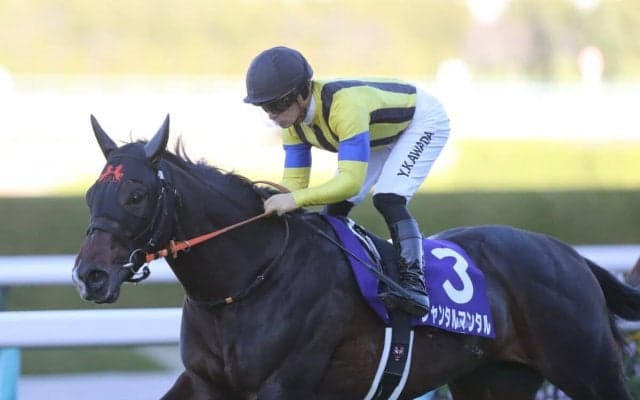 【共同通信杯】ジャンタルマンタルの逆転候補に“ジャスティン”か“ベラジオ”か　「ディープに重なる破壊力に期待」