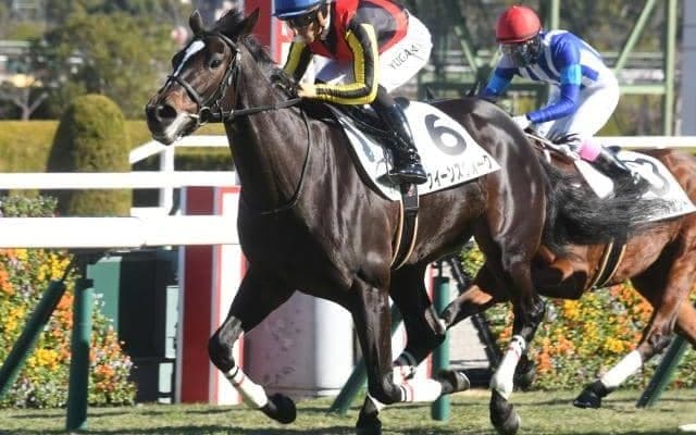 【クイーンC出走馬・騎手確定】クイーンズウォーク＆川田将雅騎手、サフィラ＆松山弘平騎手など13頭