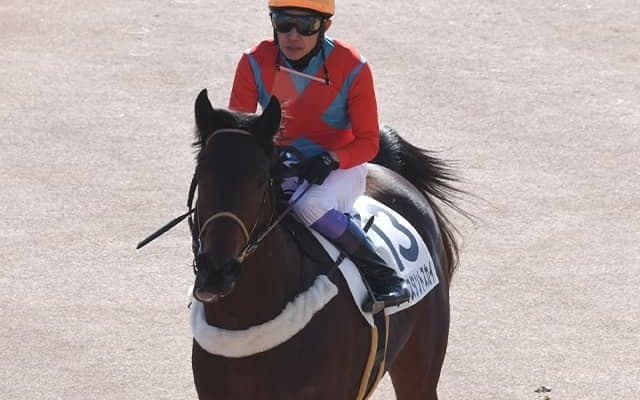 祖母ビリーヴの良血馬 武豊騎手とデビュー2連勝なるか