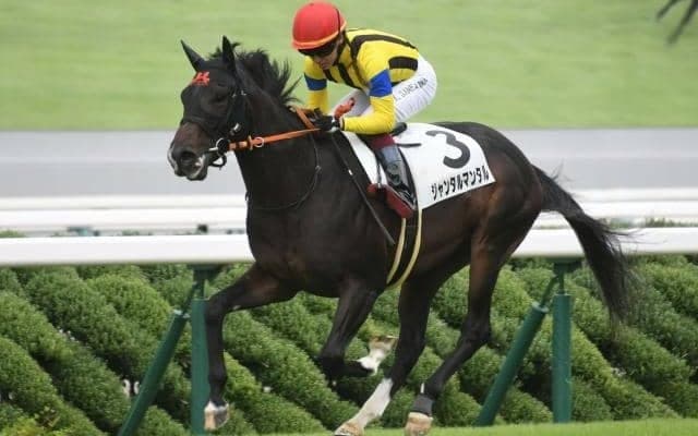 【共同通信杯出走馬・騎手確定】ジャンタルマンタル＆川田将雅騎手、エコロヴァルツ＆武豊騎手など10頭