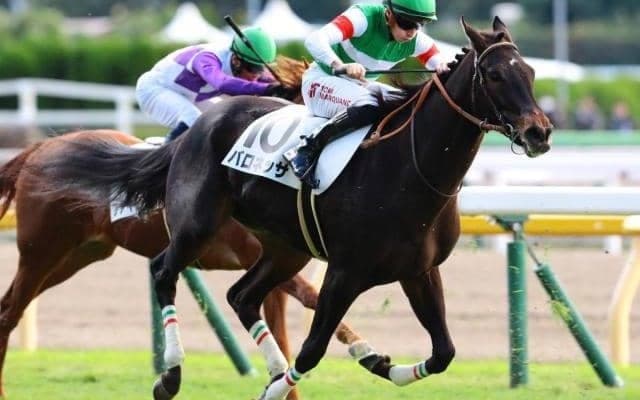 半兄にドゥラエレーデの素質馬 C.ルメール騎手と初コンビで初勝利なるか