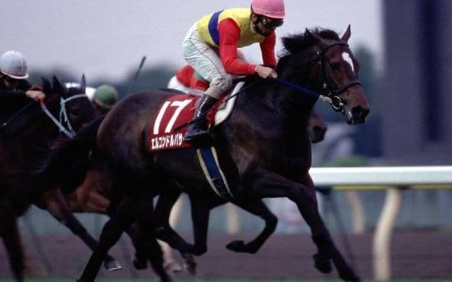 たった一度の“ダートの共同通信杯” 勝ち馬は世界へ羽ばたき今なお記憶に