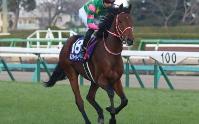 ホープフルS5着馬が共同通信杯に参戦 不完全燃焼だった前走の雪辱期す