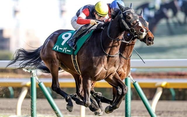 不思議な前哨戦のクイーンC 的中のヒントは桜花賞よりもオークス向きの馬を探すこと？