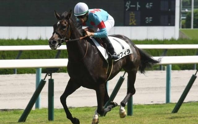 【クイーンC枠順確定】サフィラは4枠4番、クイーンズウォークは8枠13番