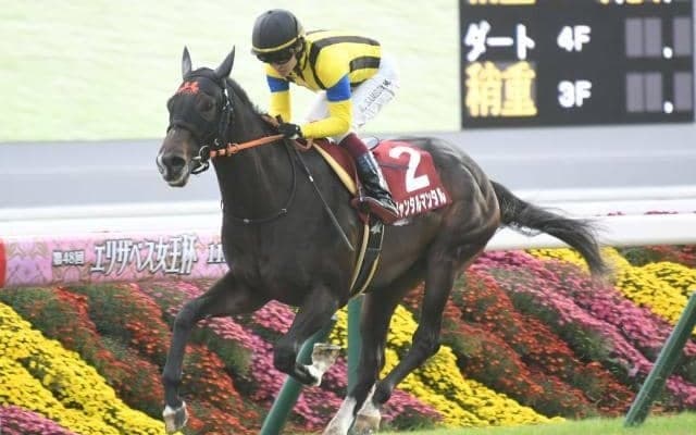 【共同通信杯枠順確定】ジャンタルマンタルは8枠9番、エコロヴァルツは6枠6番