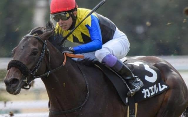 名牝ノースフライトの孫 武豊騎手を背にこぶし賞で2勝目飾るか