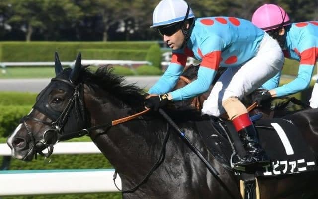 【小倉大賞典想定馬・騎手】エピファニー、ダンディズムなど20頭