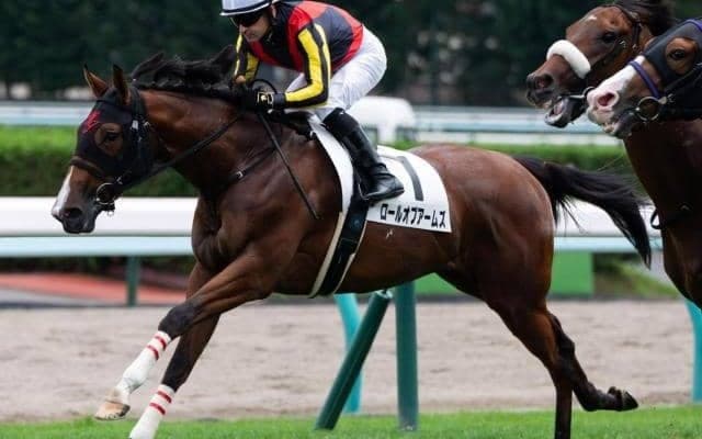 名牝メジャーエンブレムの仔が土曜東京6Rで初勝利狙う