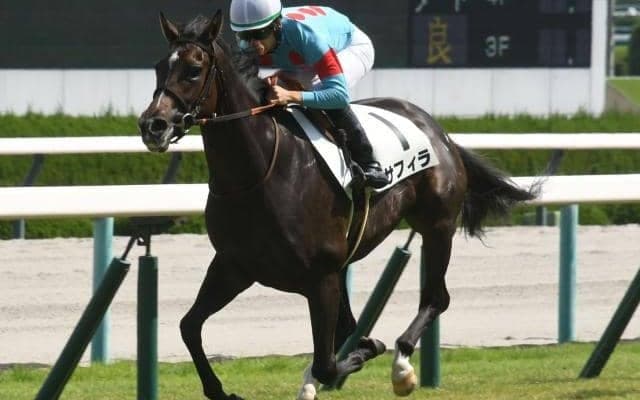 【今日の注目ポイント】東京で3歳牝馬の重賞・クイーンC