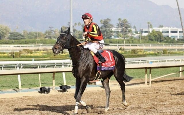 【ドバイWCデー】シャフリヤールが3年連続ドバイSCへ招待を受託…鞍上はC.デムーロ騎手