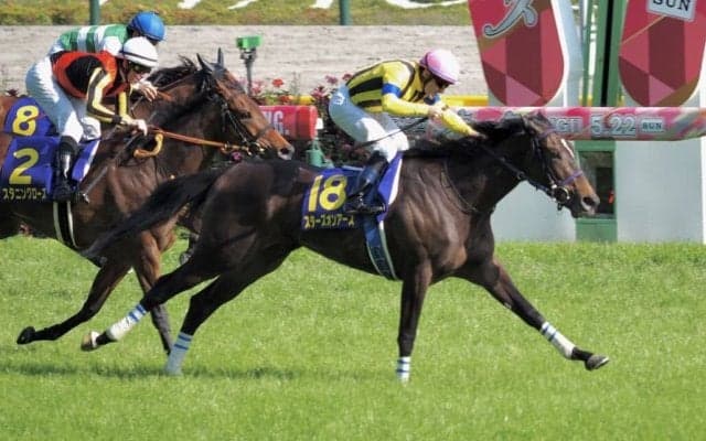 【ドバイWCデー】スターズオンアースはドバイシーマクラシックの招待受託…鞍上はルメール騎手
