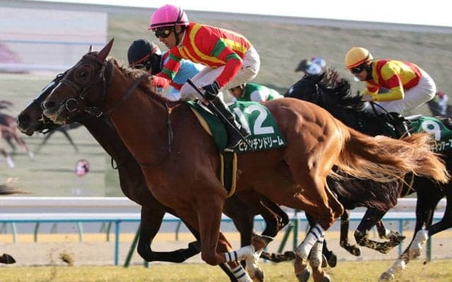 【きさらぎ賞】ピーヒュレク騎乗、ビザンチンドリームがデビュー2連勝