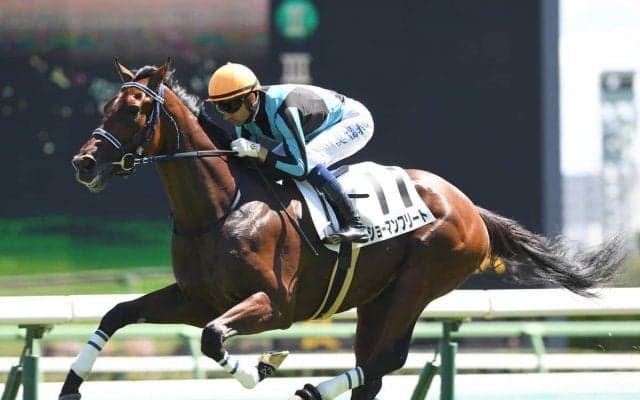 共同通信杯からクラシック戦線へと羽ばたくのは？　期待はスワーヴリチャード産駒の２頭