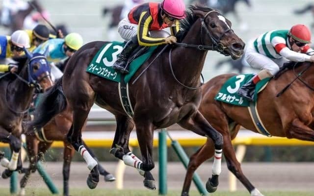 【クイーンC結果】クイーンズウォークが人気に応え2連勝で重賞初V