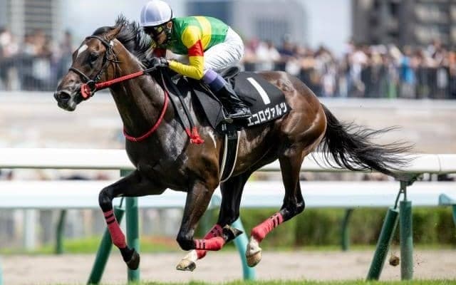 【共同通信杯予想】直線の長さにまどわされないことが的中への秘訣 前走恵まれた軽視すべき人気馬とは