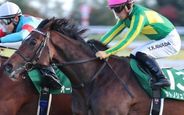 好メンバー集結あすなろ賞 のちの活躍馬多数の出世レース