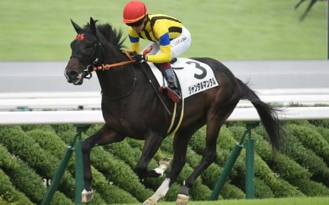 【共同通信杯前日オッズ】ジャンタルマンタルが2.8倍で1番人気