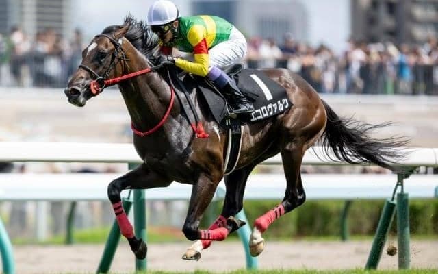 【共同通信杯予想】昨年4着のタスティエーラはのちのダービー馬 クラシックにつながる名うての出世レース