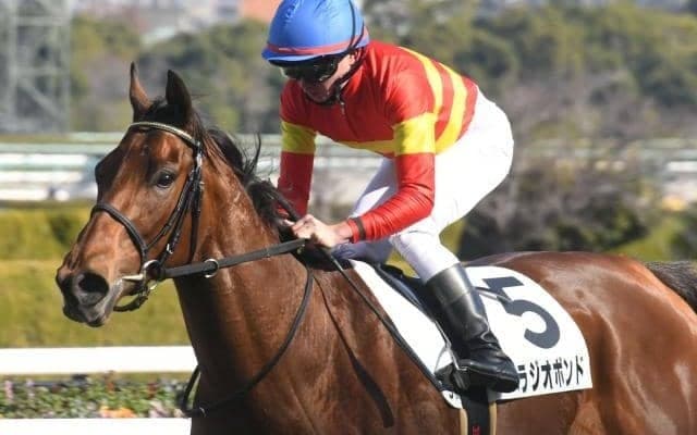 【共同通信杯予想】今年も前走新馬戦の勝利馬狙える？ 過去10年データで探るGIII共同通信杯