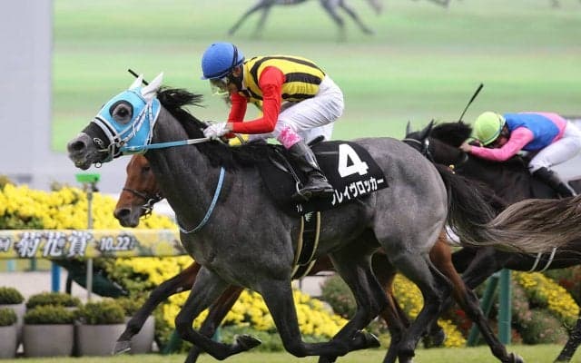 今年の京都記念は超一線級不在 荒れ馬場で浮上する伏兵２頭が高配当を演出か