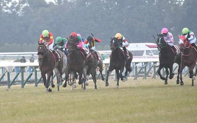 WIN5は2億5179万7070円！ 的中わずか2票で昨年のオールカマー週以来となる億超え