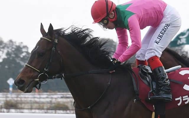 【京都記念結果】プラダリアが競り合いを制して重賞3勝目